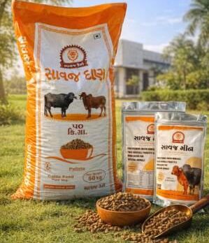 WhatsApp Image 2026-04-11 at 12.49.34 PM