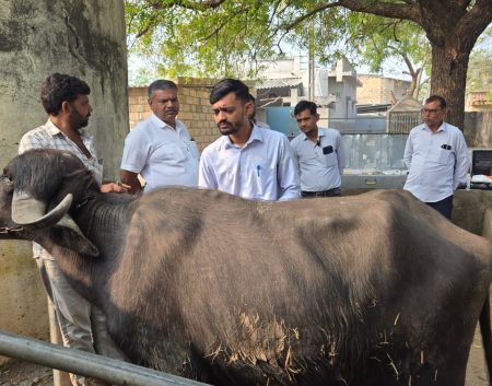 WhatsApp Image 2026-03-07 at 11.53.04 AM